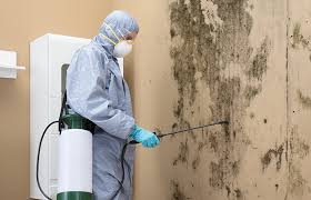 Best Asbestos and Lead Testing During Mold Inspection  in Clear Lake, IA